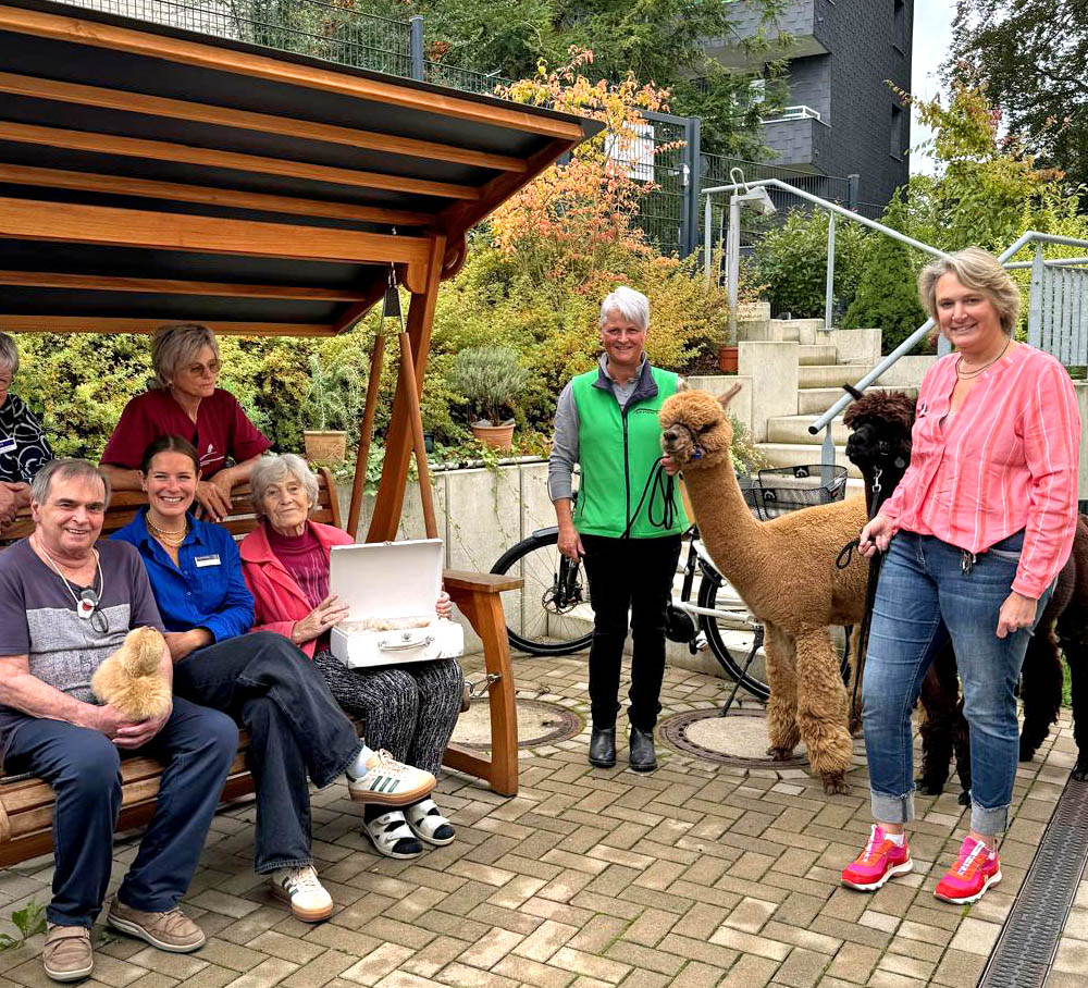 Alpaka-Besuch im Hospiz