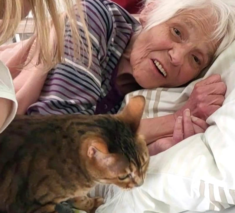 In den vergangenen Jahren waren bereits Pferde, Ponys, Alpakas, Greifvögel und Hunde zu Besuch.